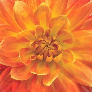 Meet your Posher, Naughty